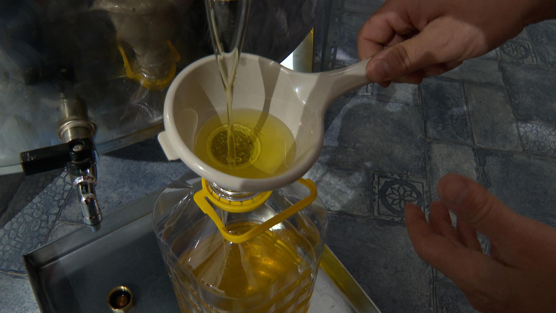 Sunflower Oil